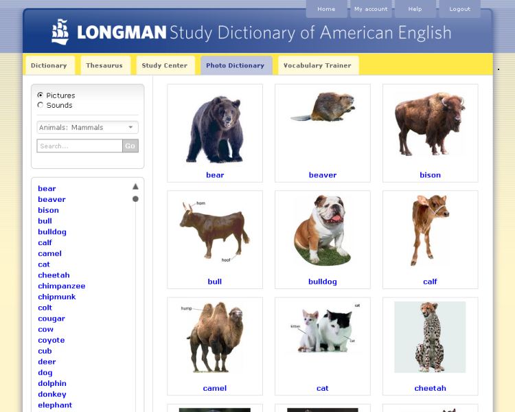 online picture dictionary free